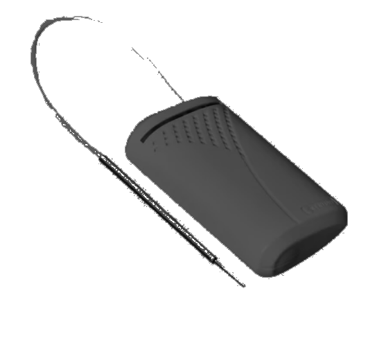 AM CABLE TAG BLACK  - SL 170MM